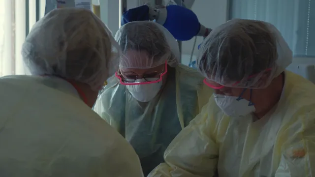 Uitgelichte afbeelding