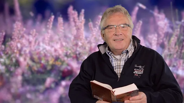 Uitgelichte afbeelding