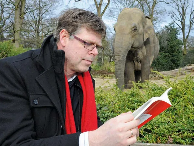 Uitgelichte afbeelding