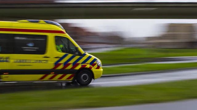 Uitgelichte afbeelding