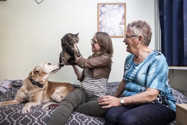 Uitgelichte afbeelding