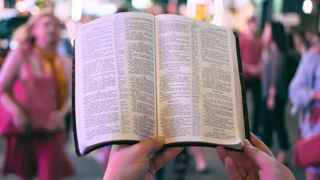 Uitgelichte afbeelding