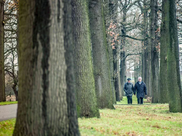 Uitgelichte afbeelding