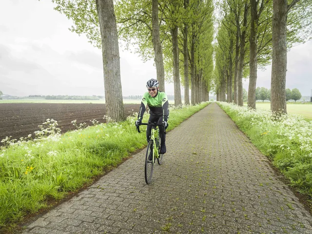 Uitgelichte afbeelding