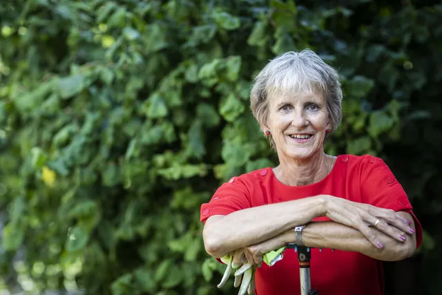 Uitgelichte afbeelding